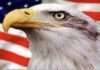 Veterans Day