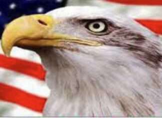 Honoring Veterans Day: A Lasting Tribute to Our Armed Forces Veterans Day